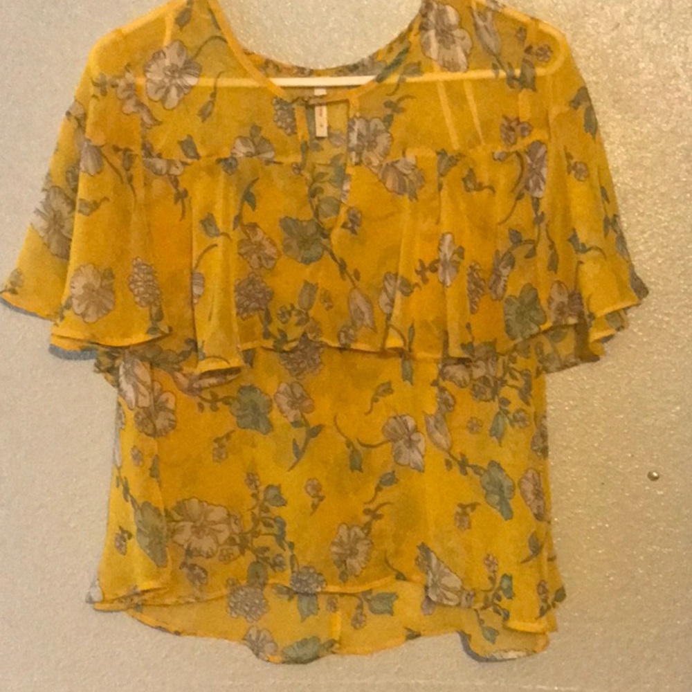 Sheer Blouse